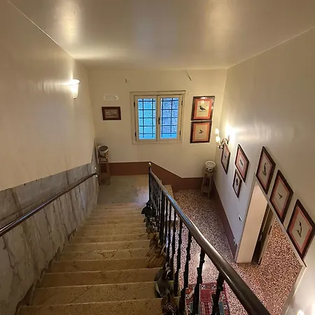 Veneta Vila *